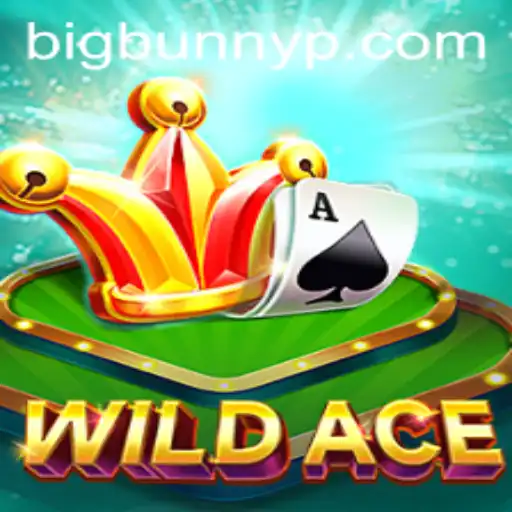 Unleashing the Adventure in WildAce with BigBunny